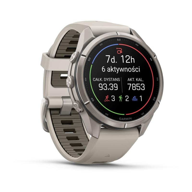 Fenix 9 Pro İnreach - 43 mm Boz (010-04335-81)